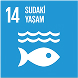 Sudaki Yaşam