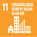 Sürdürülebilir Şehirler ve Topluluklar